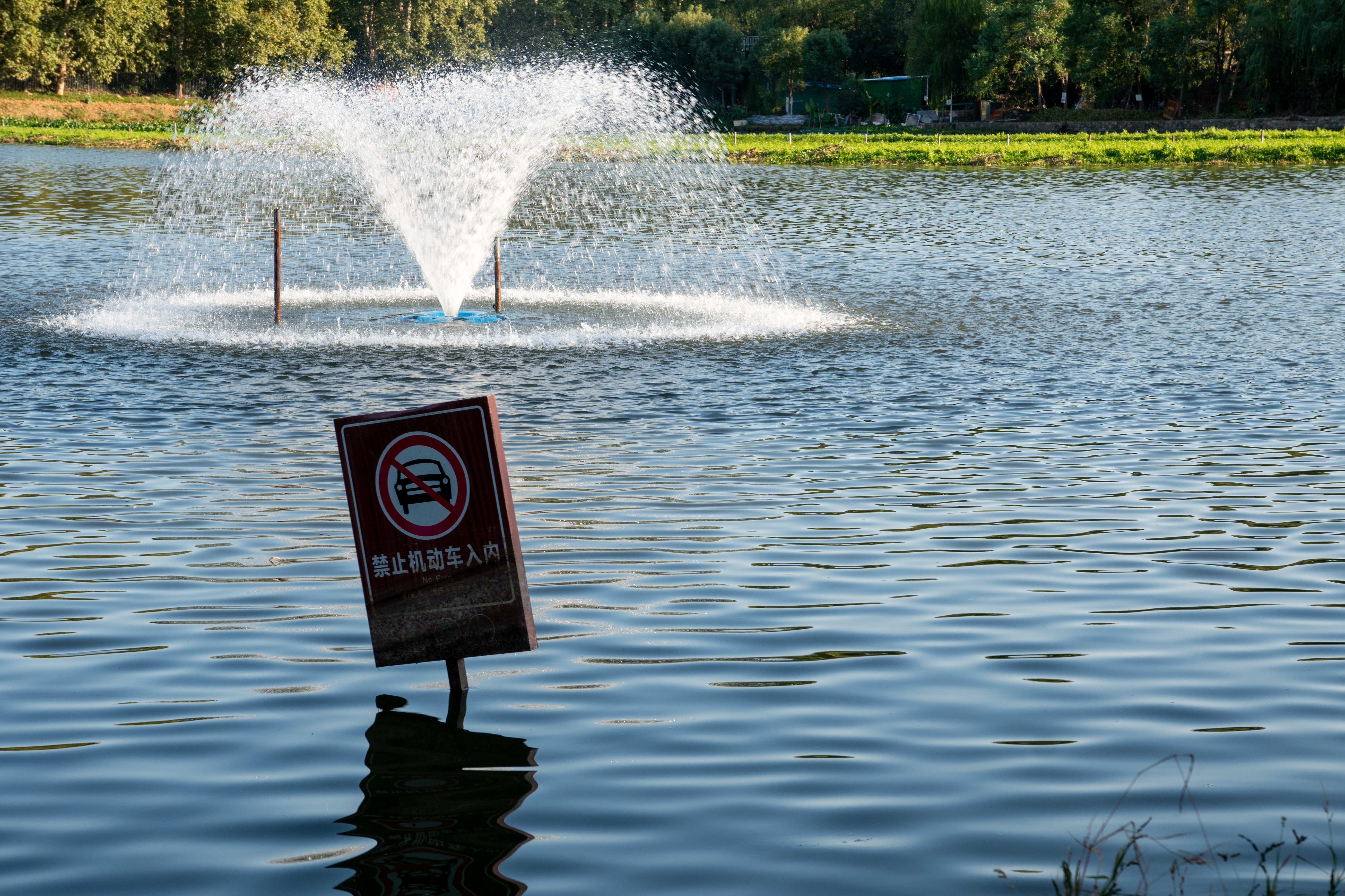 武汉湖北省博物馆旁边的湖里的警示牌